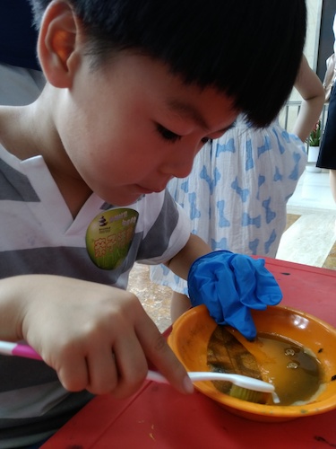 七月十号 电子竞技博彩
 B.D.服务社赴浙江自然博物馆”环保小课堂“小分队 刷刷刷，看我认真的刷叶子