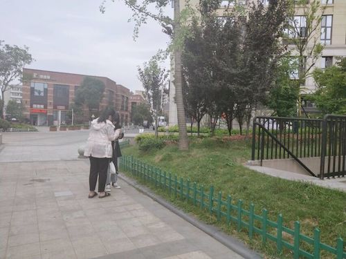 七月十五日 电子竞技博彩
 食品安全问卷调查小分队 受访者 (1)