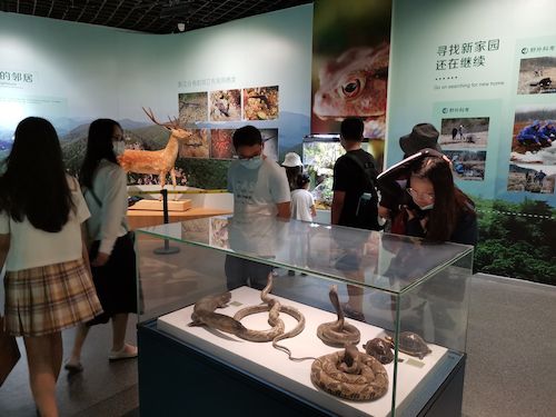 电子竞技博彩
 赴杭州”保护环境，拯救生命“小分队浙江自然博物馆3
