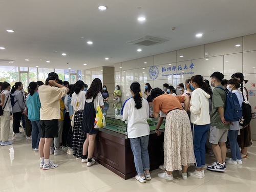 看学校模型图