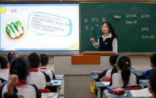 电子竞技博彩
学生给小学生讲课