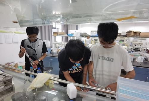 7月14日电子竞技博彩
水质检测社会实践小分队进行水质检测操作