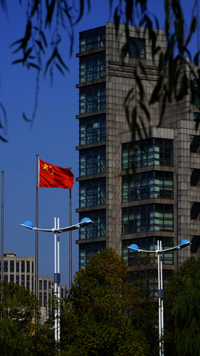 图片6